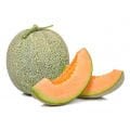 Kavun Fidesi