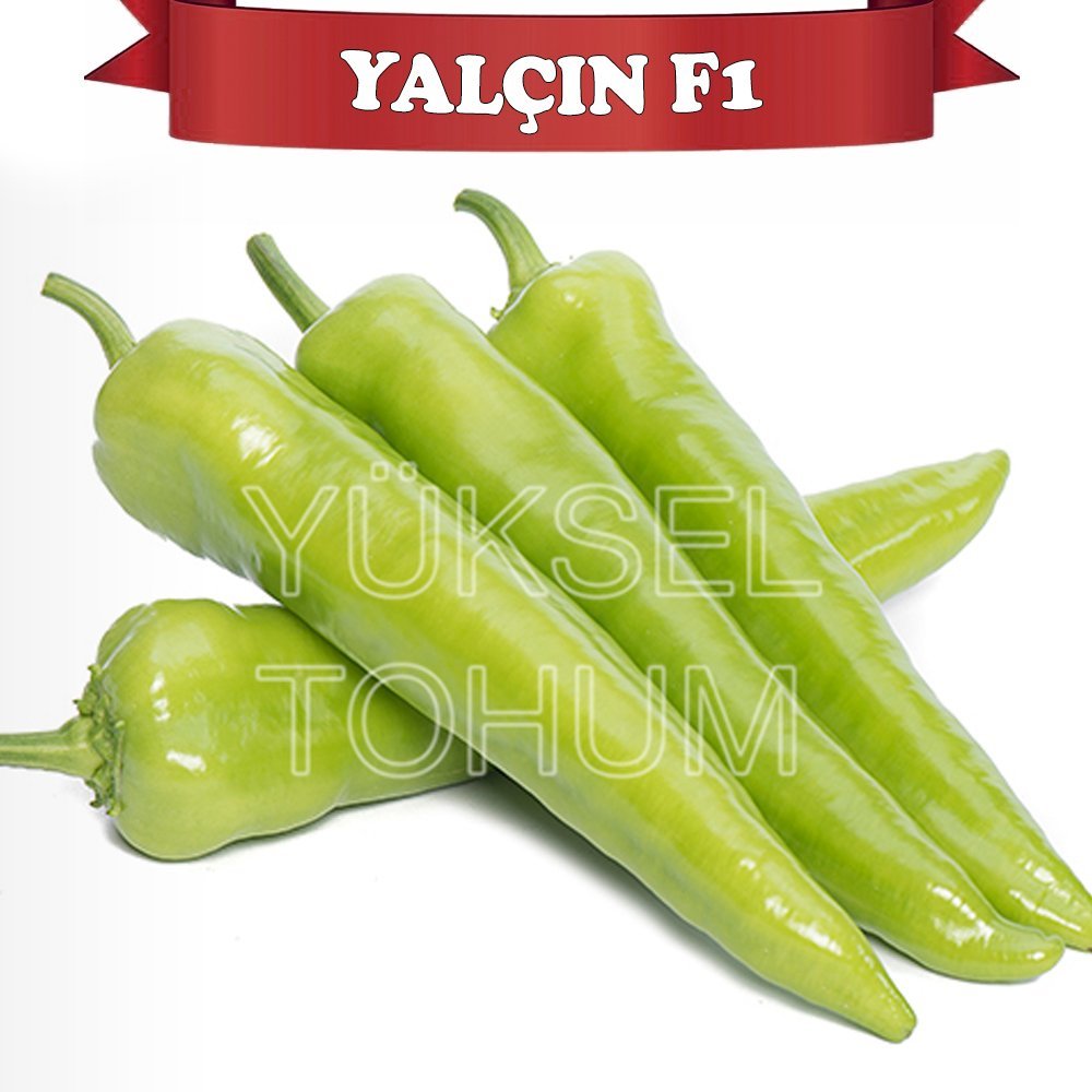 F1 Yalçın Erkenci Carliston Biber Fidesi