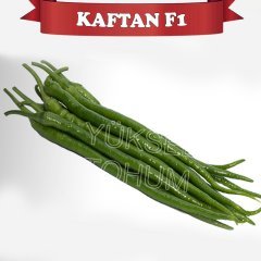 F1 Kaftan Kıl Biber Fidesi 216 Adet