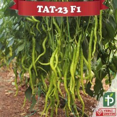F1 Tat-23 Tatlı Kıl Biber Fidesi