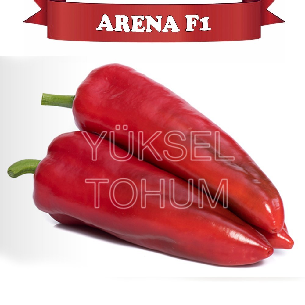 F1 Arena Kapya Biber Fidesi 216 Adet