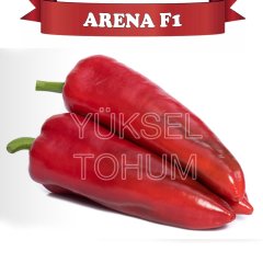 F1 Arena Kapya Biber Fidesi 216 Adet