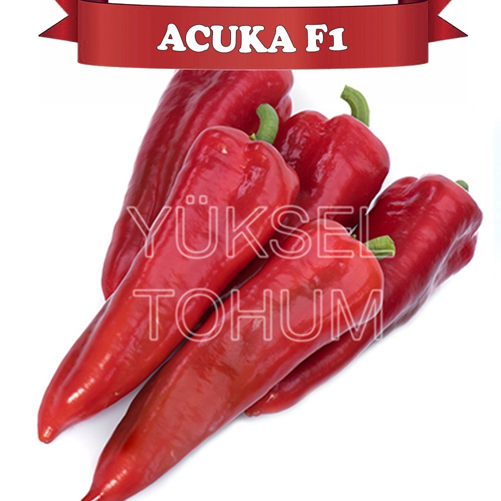 F1 Acuka Acı Kapya Biber Fidesi 216 Adet