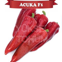 F1 Acuka Acı Kapya Biber Fidesi 216 Adet