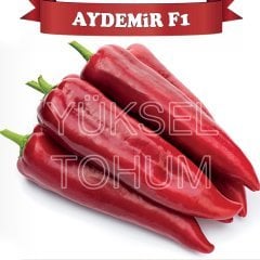 F1 Aydemir Kapya Biber Fidesi