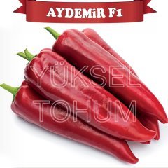 F1 Aydemir Kapya Biber Fidesi 216 Adet
