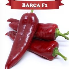 F1 Barça Kapya Biber Fidesi