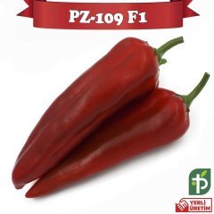 F1 PZ-109 Acı Kapya Biber Fidesi 216 Adet