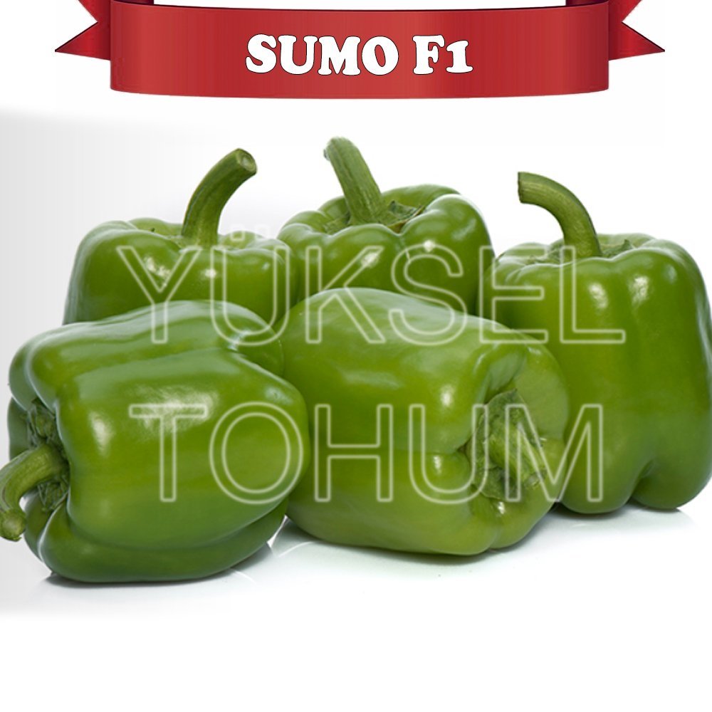 F1 Sumo Dolma Biber Fidesi