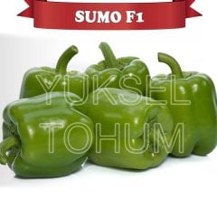 F1 Sumo Dolma Biber Fidesi