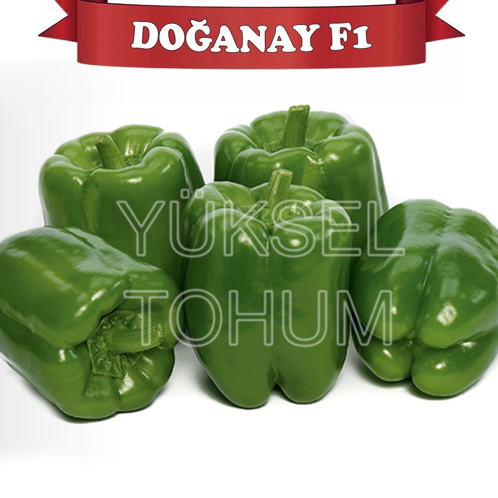 F1 Doğanay Dolma Biber Fidesi 216 Adet