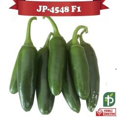 F1 JP-4548 Jalepon Biber Fidesi 216 Adet