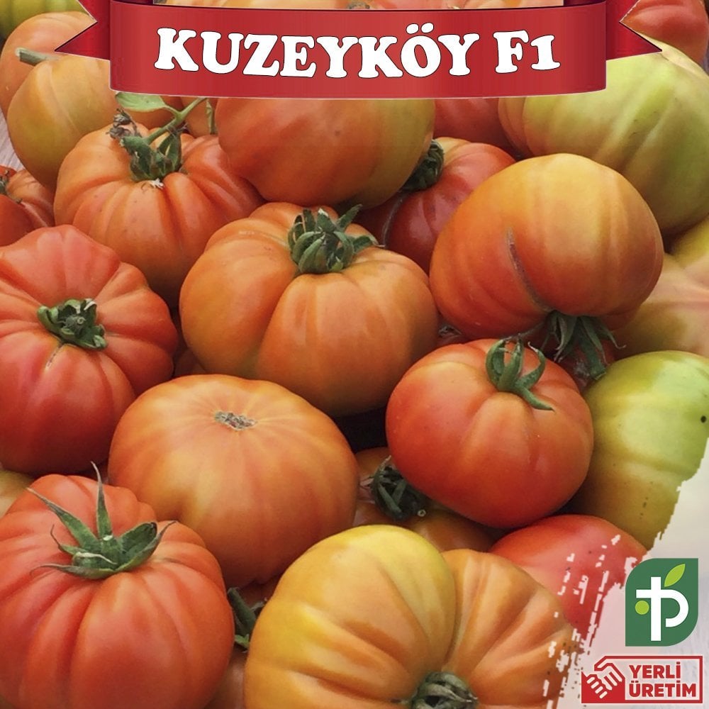 F1 Kuzeyköy Yarı Sırık Domates Fidesi