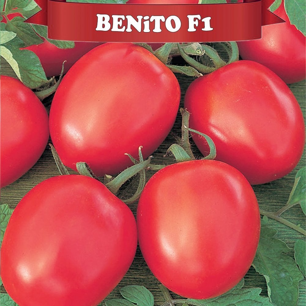 Salçalık F1 Benito Domates Fidesi