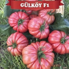 F1 Gülköy Pembe Domates Fidesi