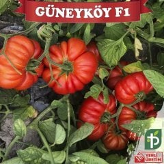 F1 Güneyköy Oturak Köy Domates Fidesi