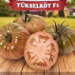 F1 Yükselköy Köy Domates Fidesi