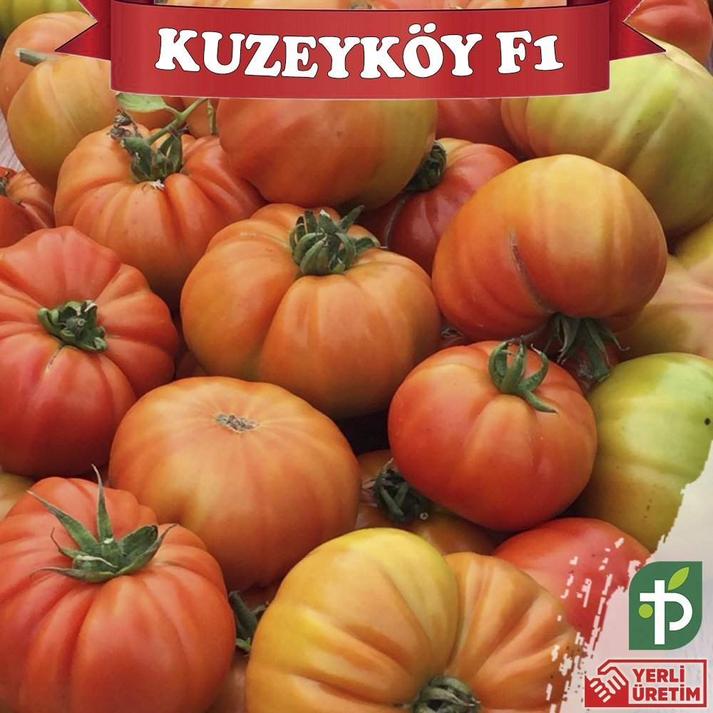 F1 Kuzeyköy Yarı Sırık Köy Domates Fidesi