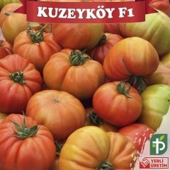 F1 Kuzeyköy Yarı Sırık Köy Domates Fidesi