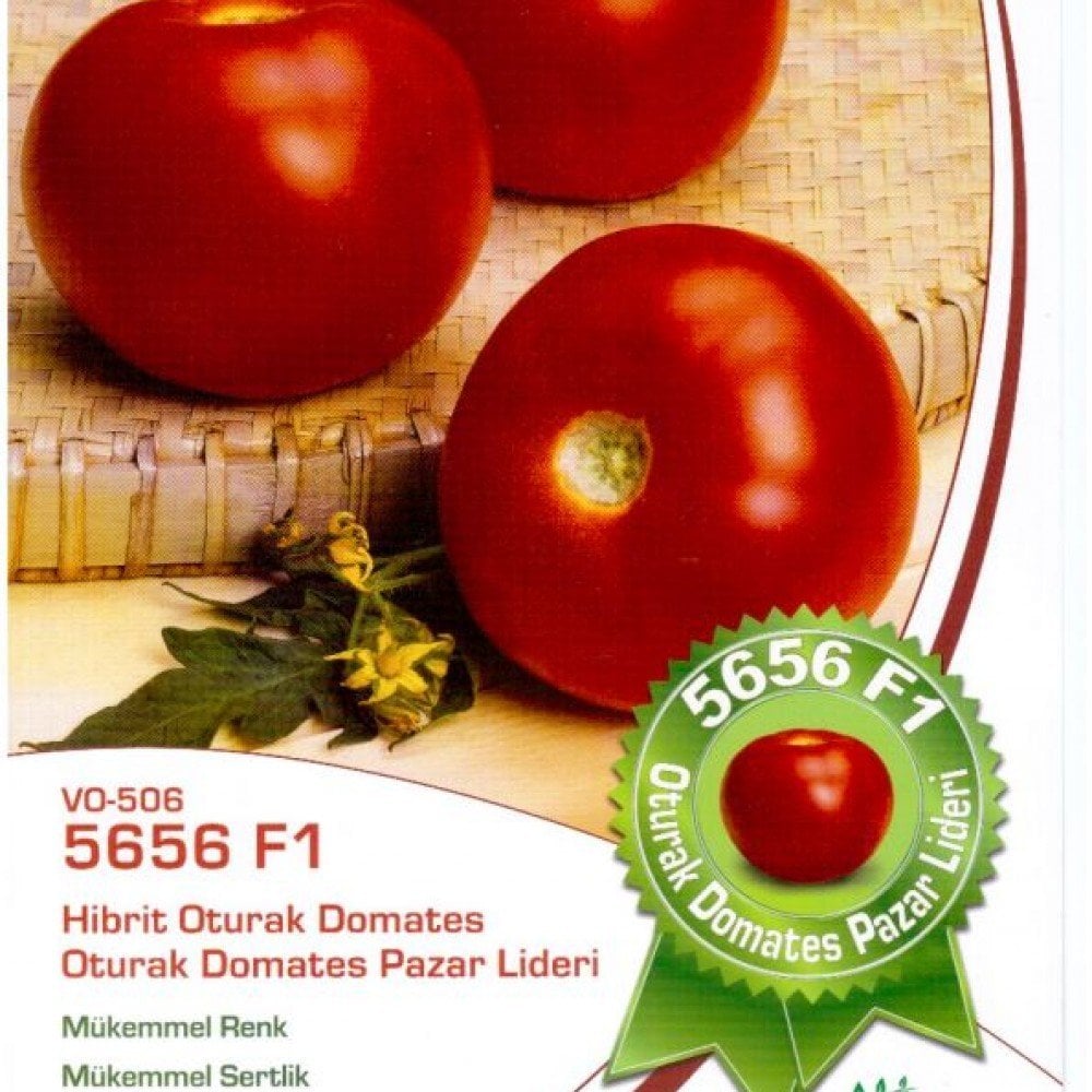 F1 5656 Oturak Domates Fidesi