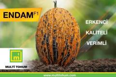 F1 Endam Kırkağaç Kavun Fidesi