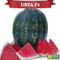 F1 Usta Karpuz Fidesi