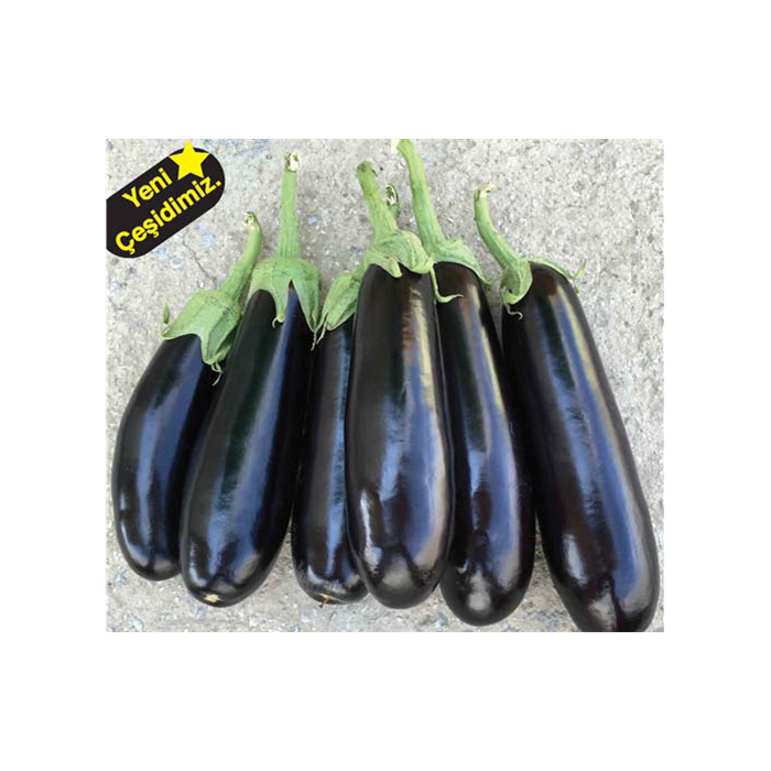 F1 Kobra Patlıcan Fidesi