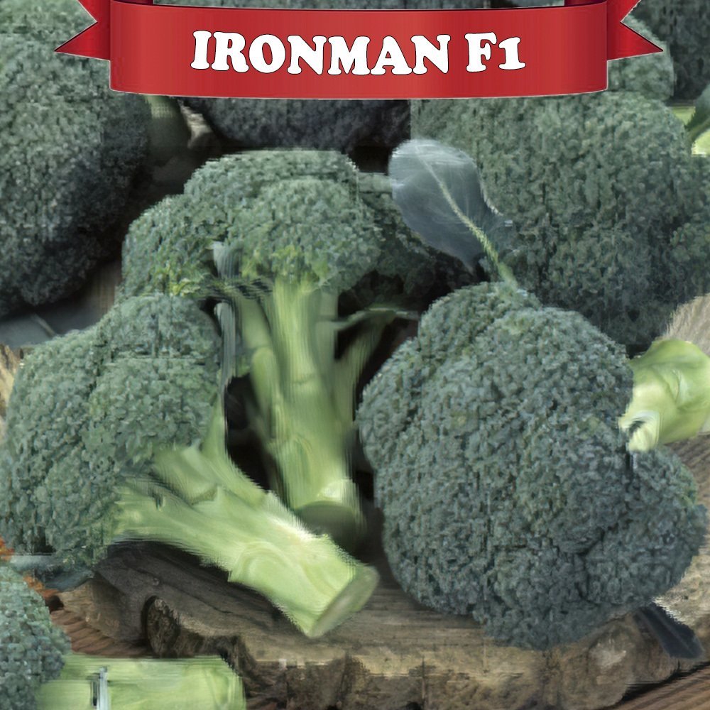 F1 İronman Brokoli Fidesi
