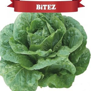 Bitez Yedikule Marul Fidesi