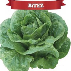 Bitez Yedikule Marul Fidesi