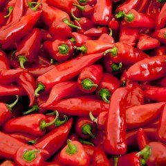 F1 Asg 523 Kapya Biber Fidesi 216 Adet